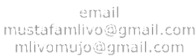 email mustafamlivo@gmail.com mlivomujo@gmail.com